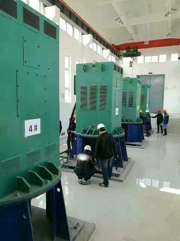 张港镇某污水处理厂使用我厂的立式高压电机安装现场