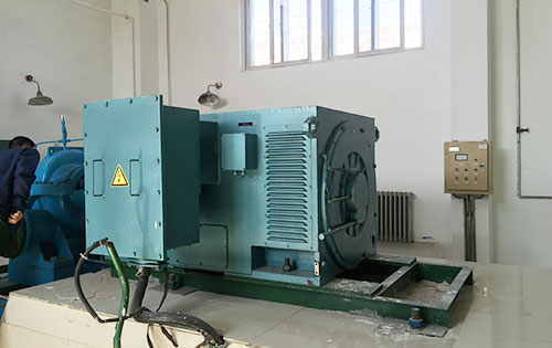 张港镇某水电站工程主水泵使用我公司高压电机